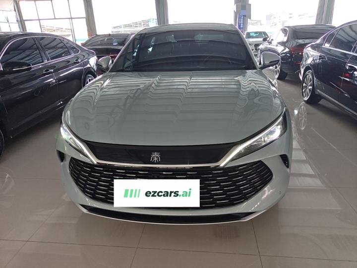 Qin L 2024 DM-i 80KM photo 2
