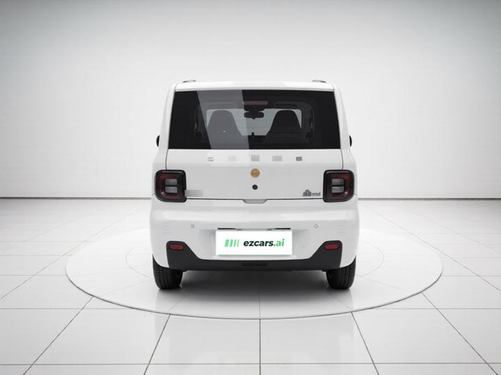 2024 Panda mini 200km Endurance Bear photo 5