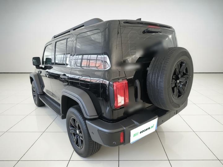 300 2025 2.0T Petrol Conqueror photo 4