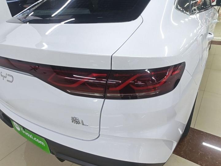 Qin L 2024 DM-i 80KM photo 7