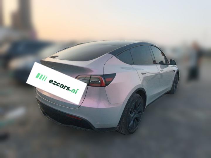 Model Y 2024 RWD photo 4