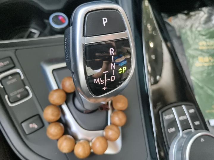 3 Series 2019 320Li M Luxury photo 6