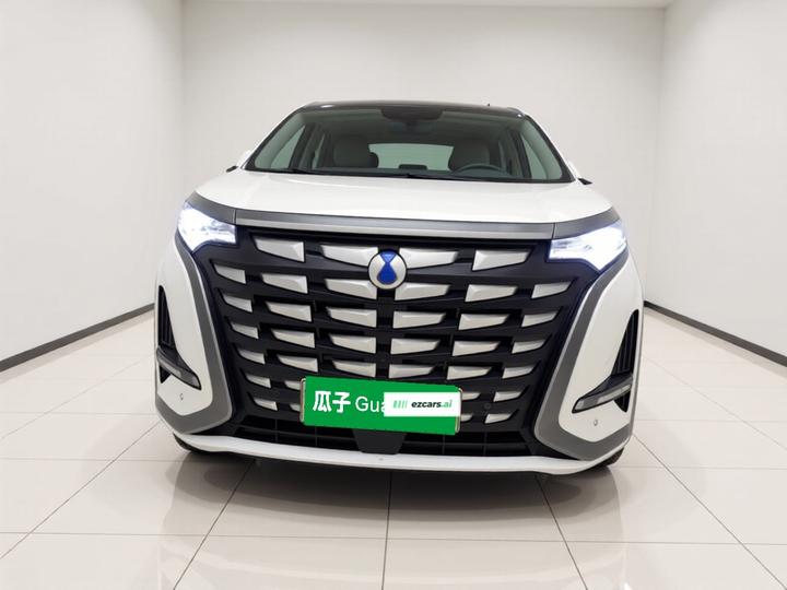 D9 2022 DM-i 970 AWD Noble photo 2