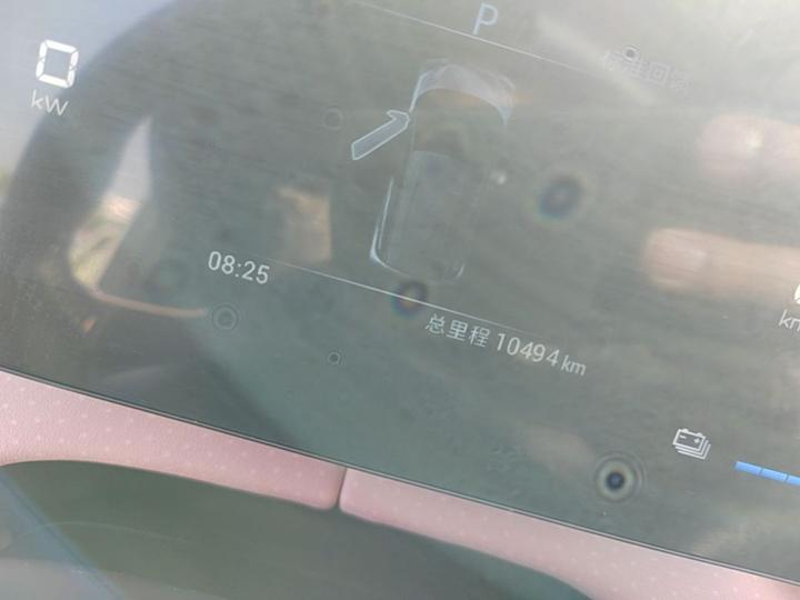 Seagull 2024 Honor 305km photo 6