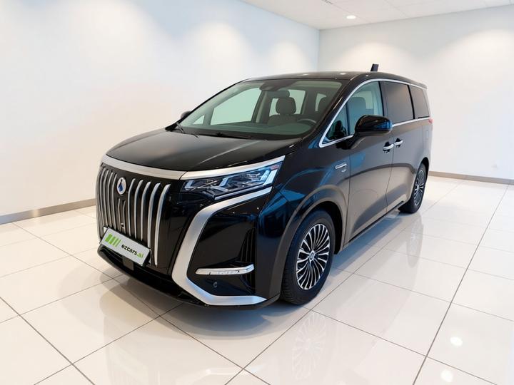 D9 2024 EV 600 AWD Flagship