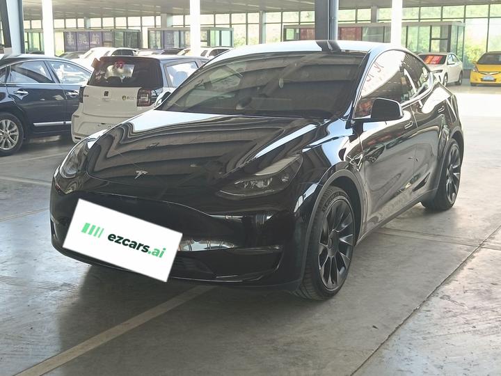 Model Y 2021 Standard Range RWD