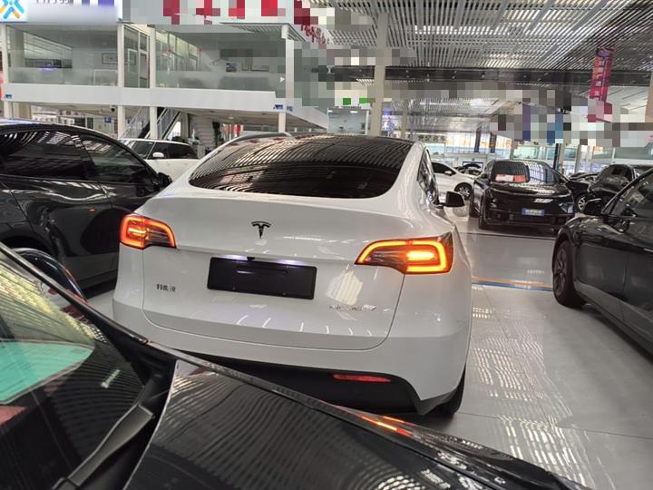 Model Y 2024 RWD photo 3