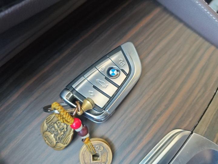 5 Series 2019 530Li Leading Luxury photo 8