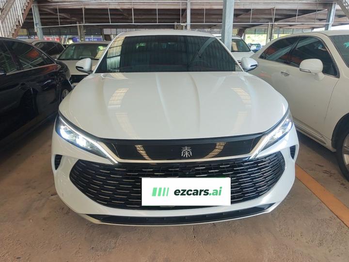 Qin L 2024 DM-i 80KM photo 2