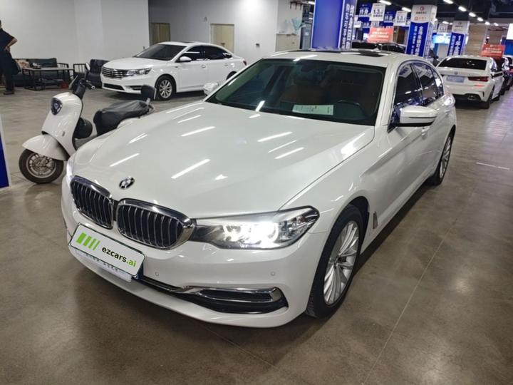 5 Series 2019 530Li Leading Luxury