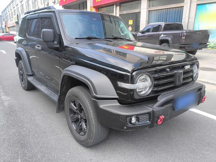 300 2023 Off-road 2.0T photo 3