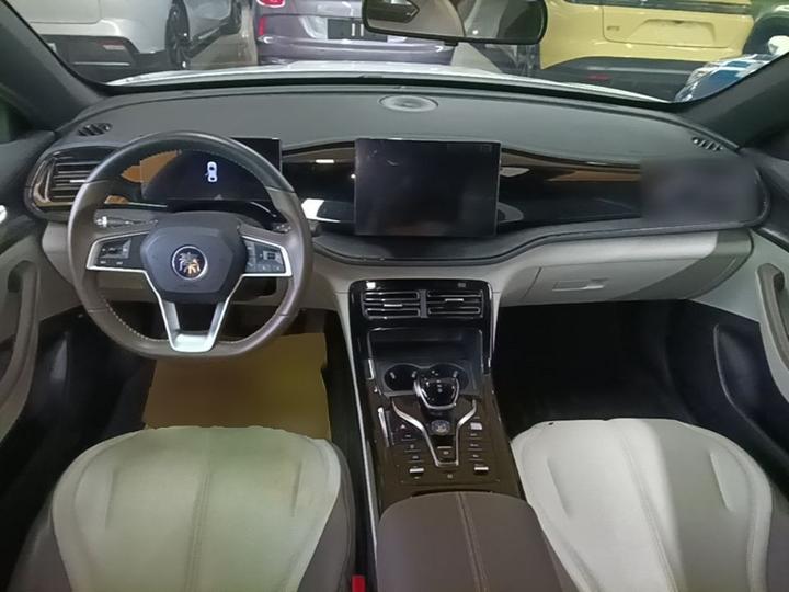 Qin PLUS 2024 Honor DM-i 55KM Leading photo 5