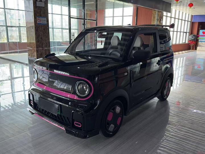 2024 200km Panda photo 2
