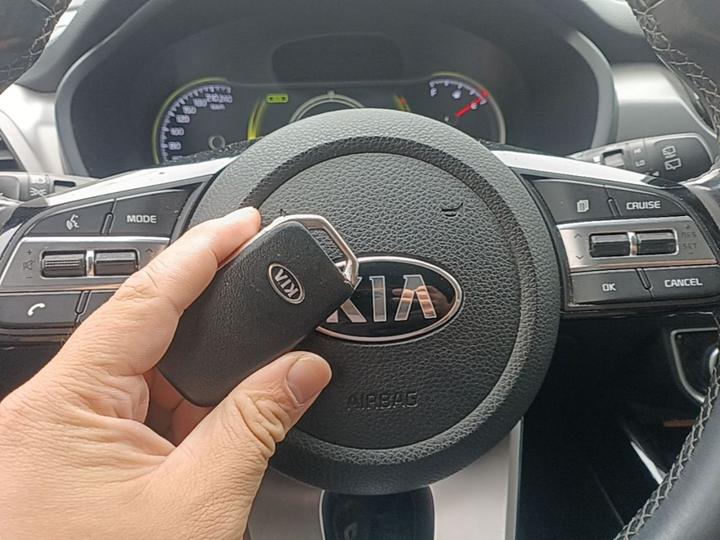 Sportage 2019 2.0L AT Smart Luxury photo 8