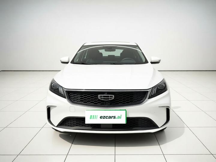 Binrui 2021 1.4T CVT photo 2