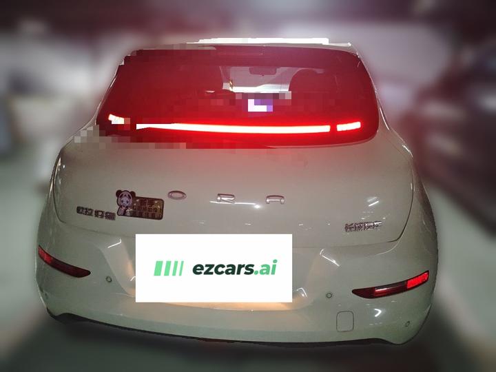 Good Cat 2023 401km Standard Range Noble LFP photo 3