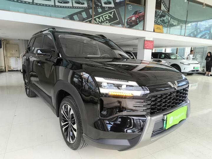 560 EV 2026 125km Luxury photo 3