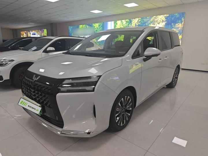 730 EV 2025 125km Luxury
