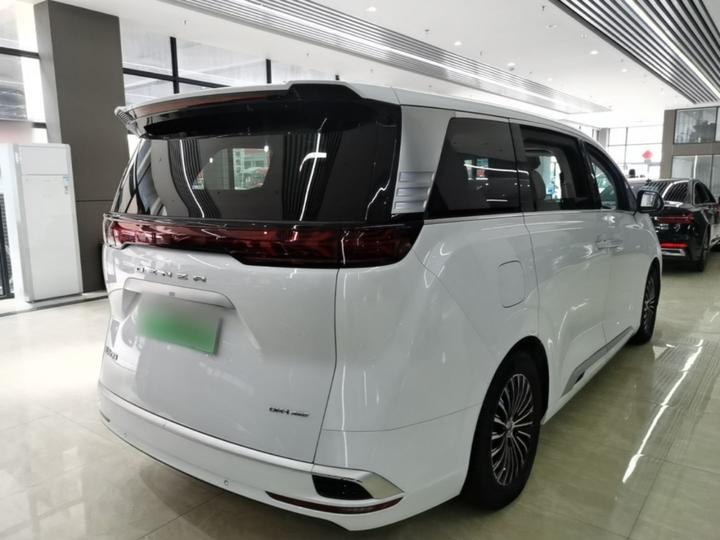 D9 2022 DM-i 970 AWD Noble photo 6