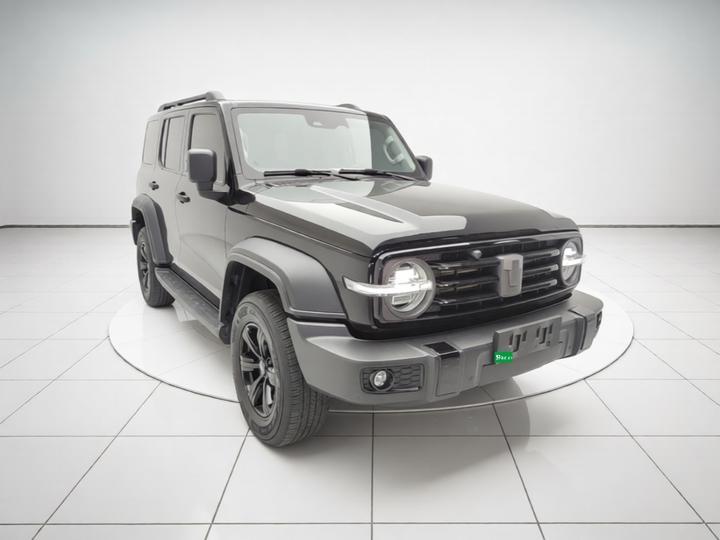 300 2023 Off-road 2.0T photo 3