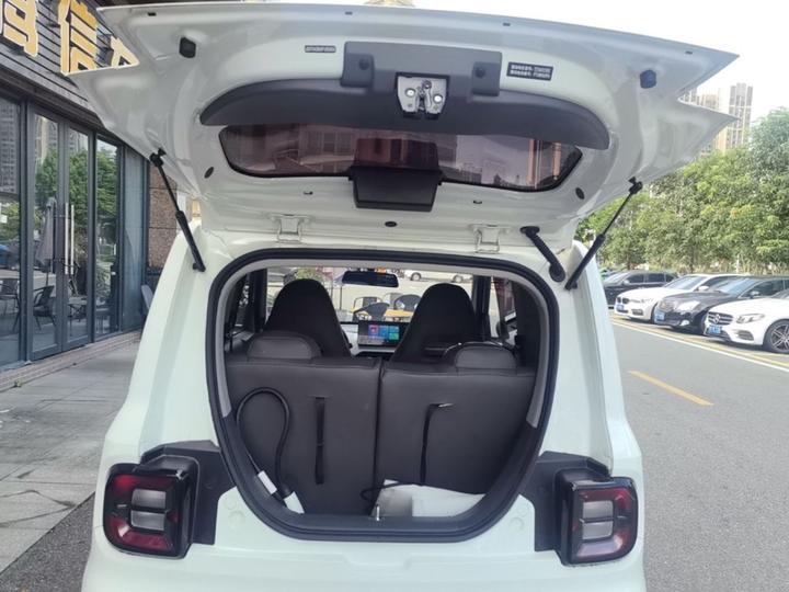 2023 Panda mini 200km Endurance Bear photo 8