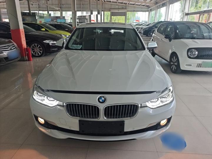 3 Series 2018 318Li photo 2