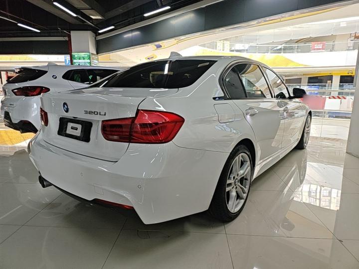 3 Series 2019 320Li M Luxury photo 4