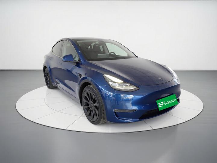 Model Y 2021 Long Range AWD photo 3