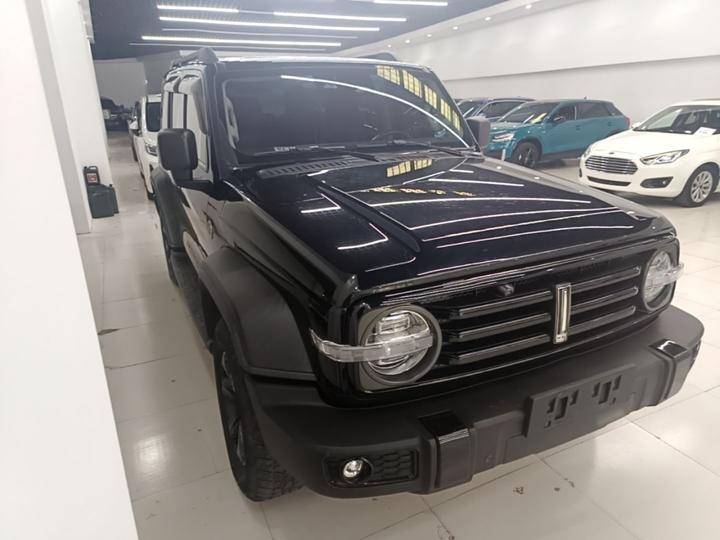 300 2021 Off-road 2.0T photo 3