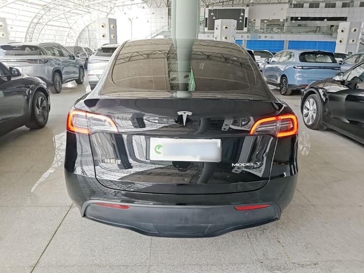 Model Y 2024 RWD photo 3
