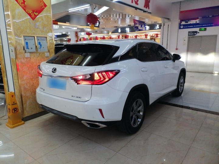 RX 2016 300 RWD Elite China V photo 4
