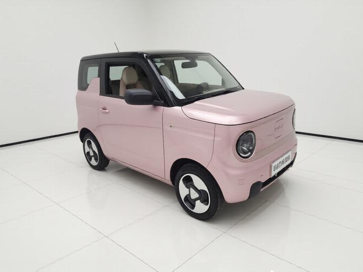 2023 Panda mini 200km photo 3