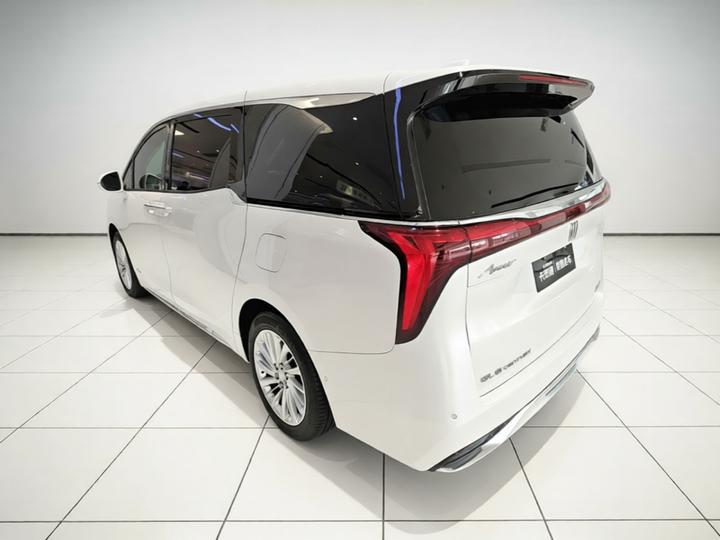 2025 2.0T 7-Seater photo 4