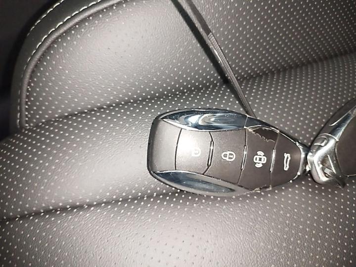 H5 PHEV 2025 130 photo 8