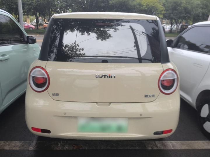 Nevo Changan Lumin 2022 210km photo 5