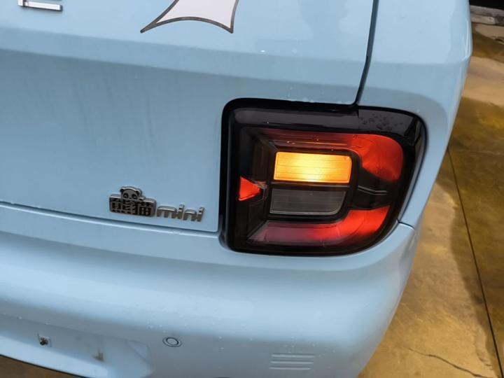 2024 Panda mini 200km Endurance Bear photo 7