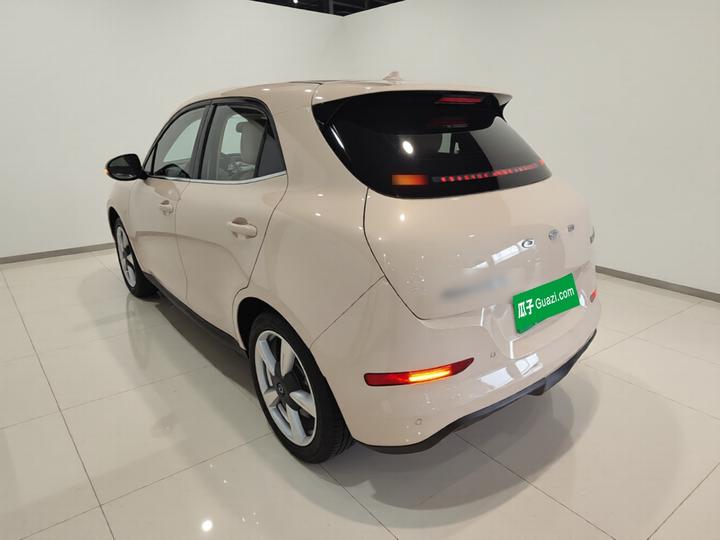 Good Cat 2022 400km Standard Range LFP photo 4