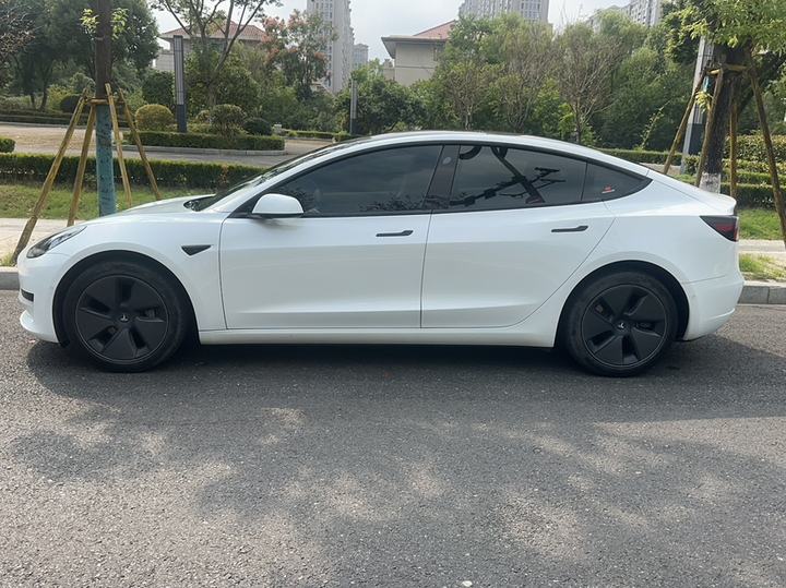 Model 3 2022 RWD photo 4