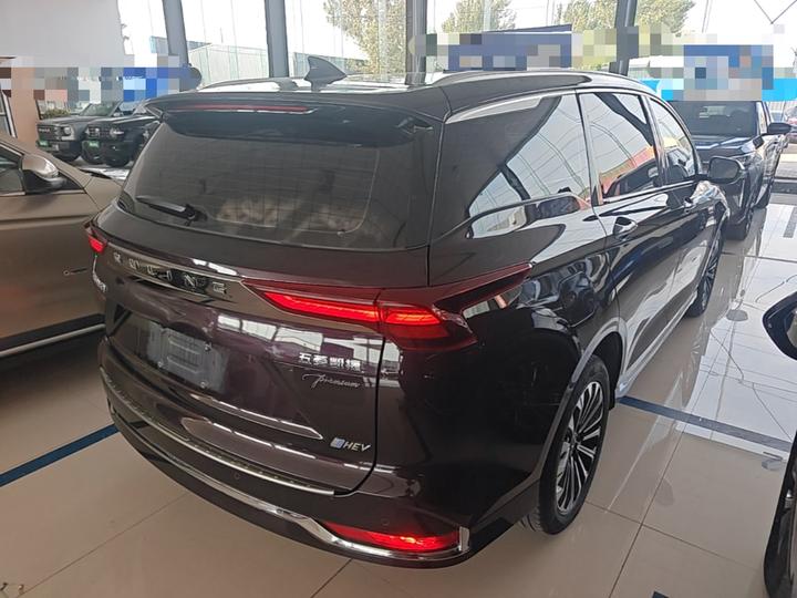 Wuling 2023 2.0L DHT photo 6
