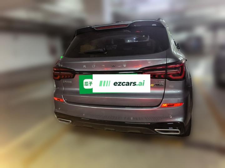 RX5 EV 2020 ePLUS Flagship photo 5