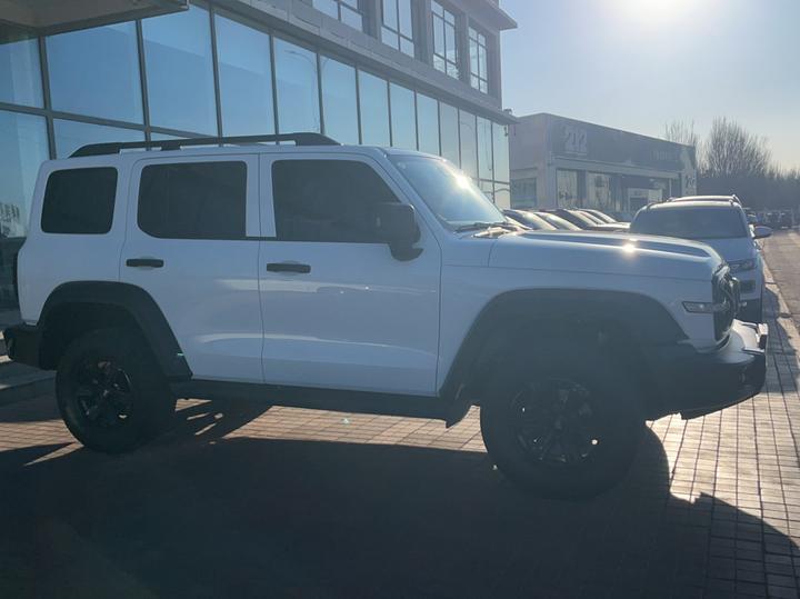 300 2023 Off-road 2.0T Conqueror photo 3