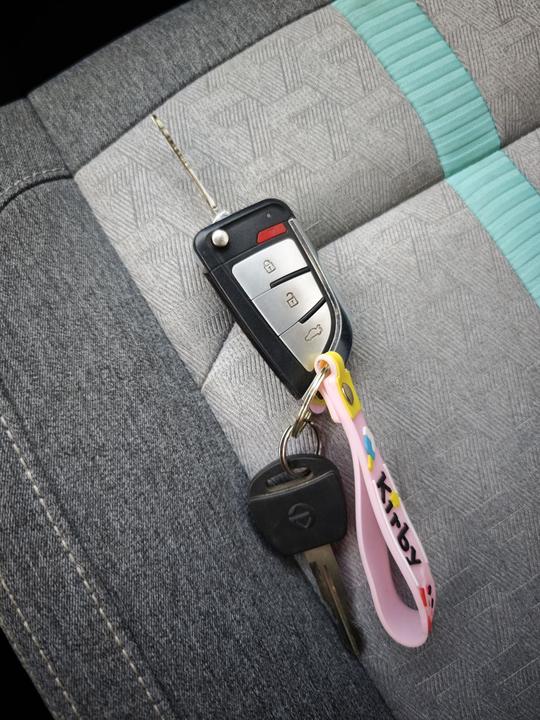 EV EV2 2023 201km Comfort photo 8