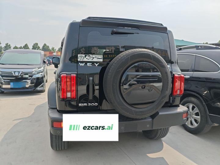 300 2021 Off-road 2.0T photo 3
