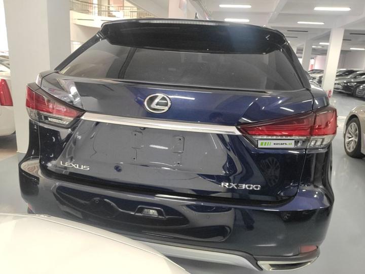 RX 2020 300 AWD Elegant China VI photo 5