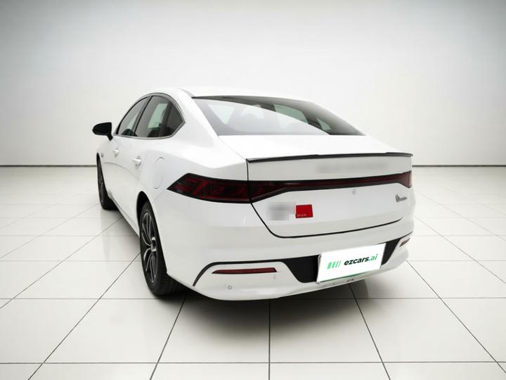 Qin PLUS 2024 Honor DM-i 120KM Leading photo 4