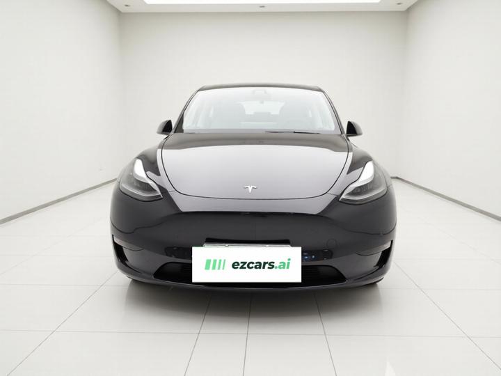 Model Y 2021 Standard Range RWD photo 2