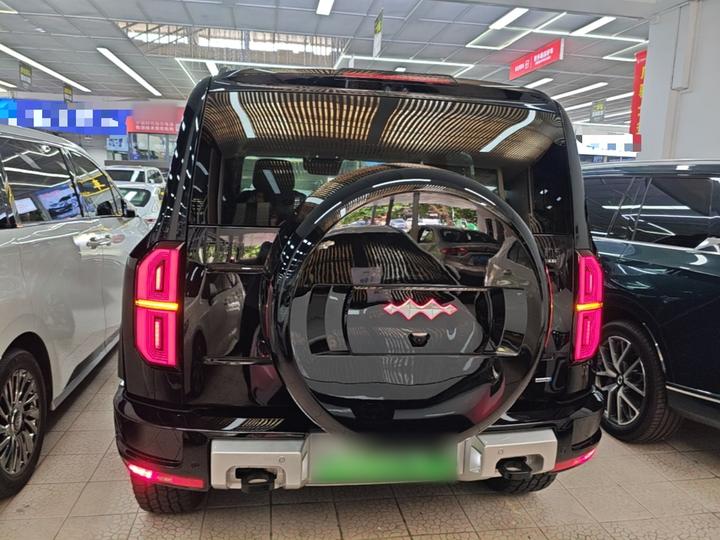 Fang Cheng Bao Leopard 5 2025 210KM Ultra photo 5