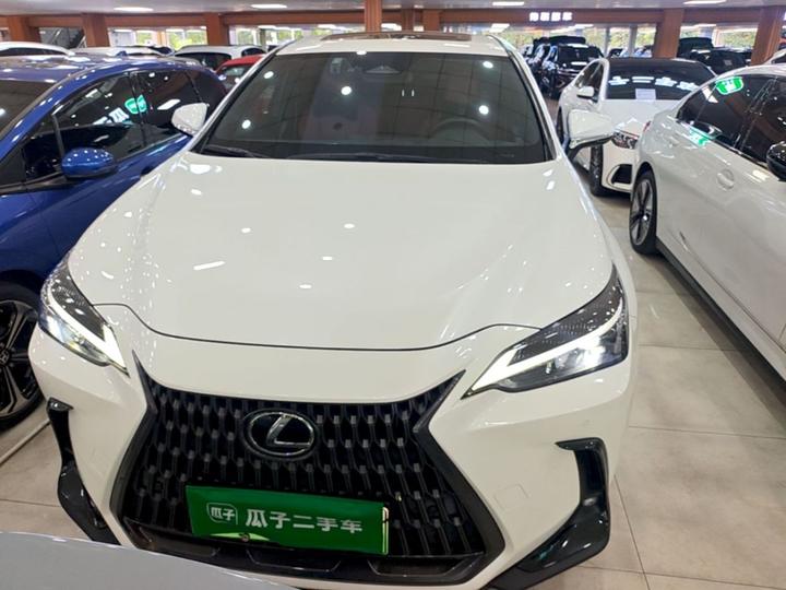 NX EV 2022 400h+ photo 2