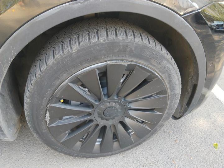 Model Y 2023 RWD photo 8