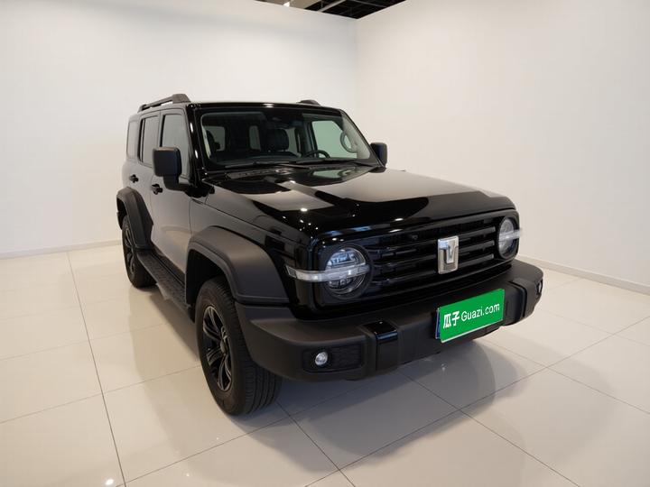 300 2023 Off-road 2.0T Conqueror photo 3